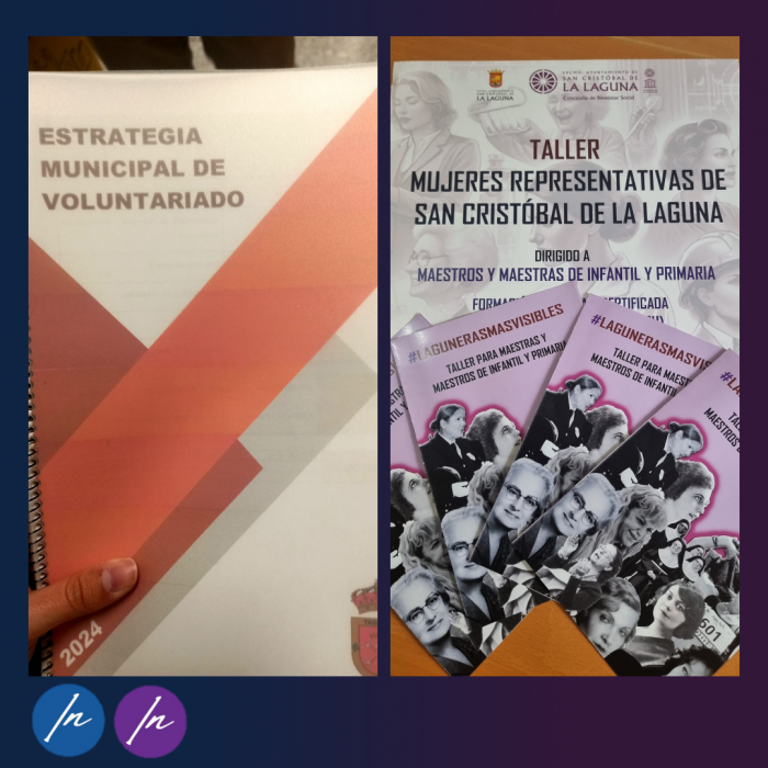 Proyectos en formación en igualdad y elaboración de estrategias de voluntariado.